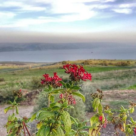 Sea Of Galilee Site Apartment Chorazim ภายนอก รูปภาพ