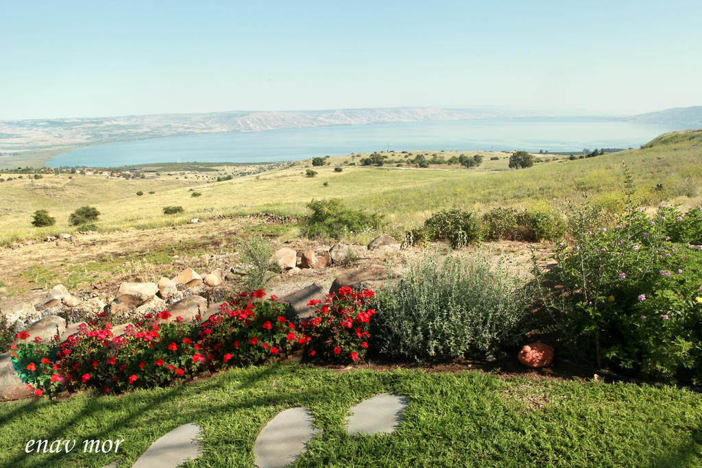 Sea Of Galilee Site Apartment Chorazim ภายนอก รูปภาพ