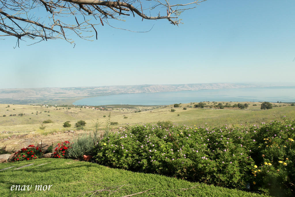 Sea Of Galilee Site Apartment Chorazim ภายนอก รูปภาพ