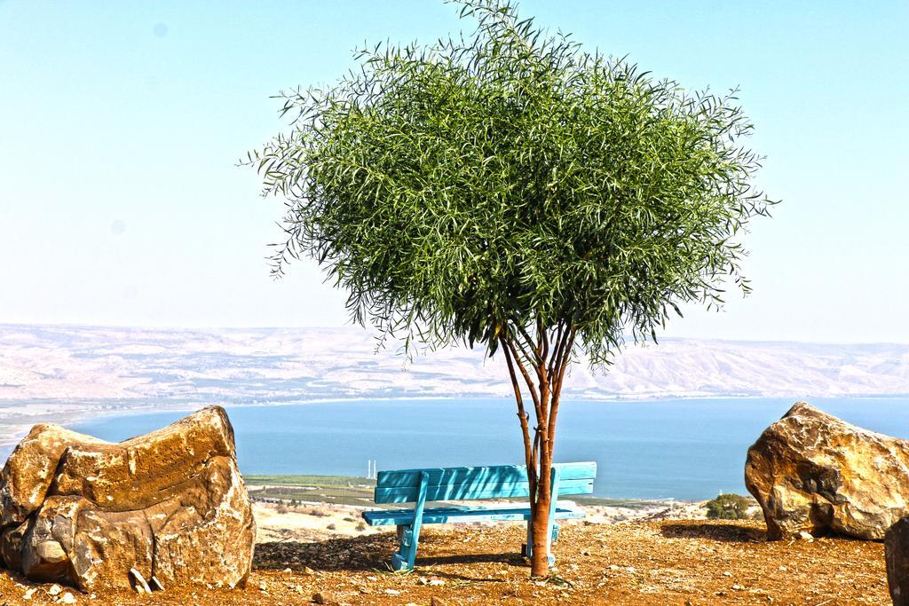 Sea Of Galilee Site Apartment Chorazim ภายนอก รูปภาพ